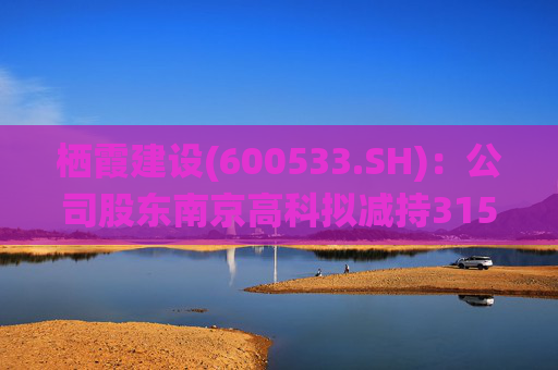 栖霞建设(600533.SH)：公司股东南京高科拟减持3150万股，占公司总股本3%