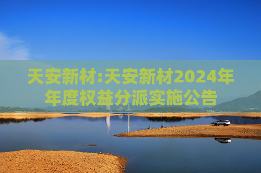 天安新材:天安新材2024年年度权益分派实施公告