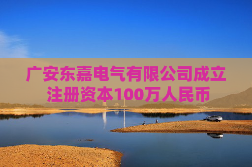 广安东嘉电气有限公司成立 注册资本100万人民币