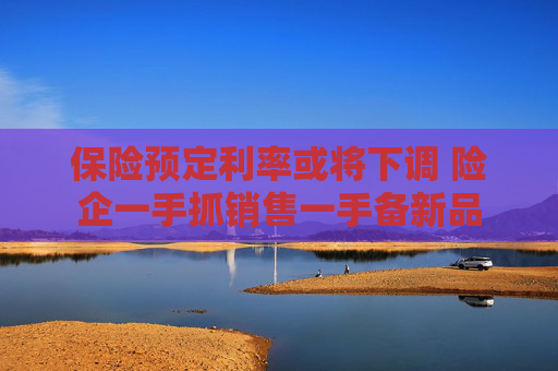 保险预定利率或将下调 险企一手抓销售一手备新品