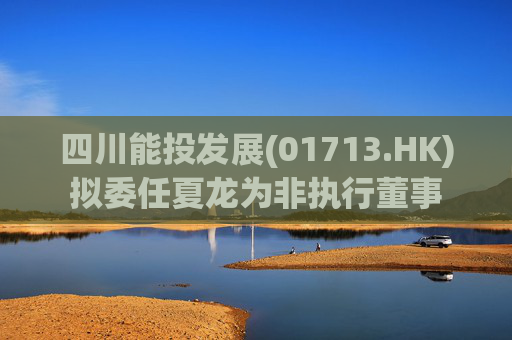 四川能投发展(01713.HK)拟委任夏龙为非执行董事