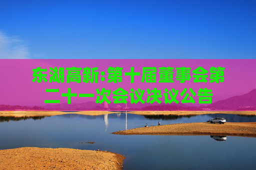 东湖高新:第十届董事会第二十一次会议决议公告