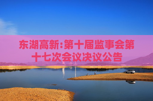 东湖高新:第十届监事会第十七次会议决议公告