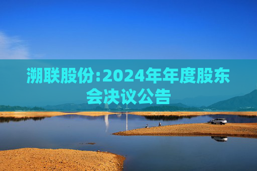 溯联股份:2024年年度股东会决议公告