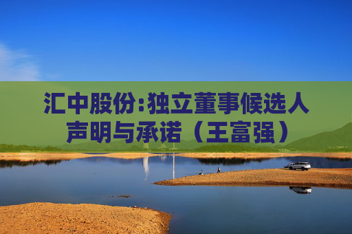 汇中股份:独立董事候选人声明与承诺（王富强）