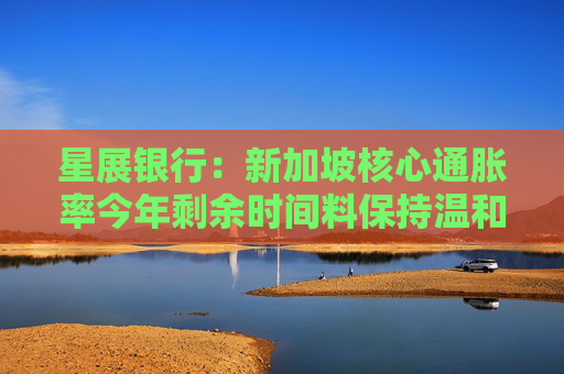 星展银行：新加坡核心通胀率今年剩余时间料保持温和