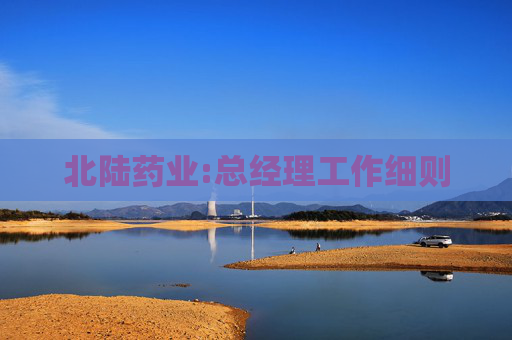 北陆药业:总经理工作细则
