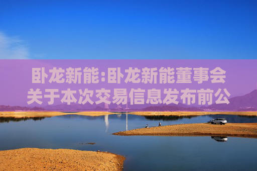 卧龙新能:卧龙新能董事会关于本次交易信息发布前公司股票价格波动情况的说明