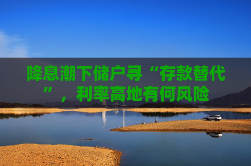 降息潮下储户寻“存款替代”，利率高地有何风险