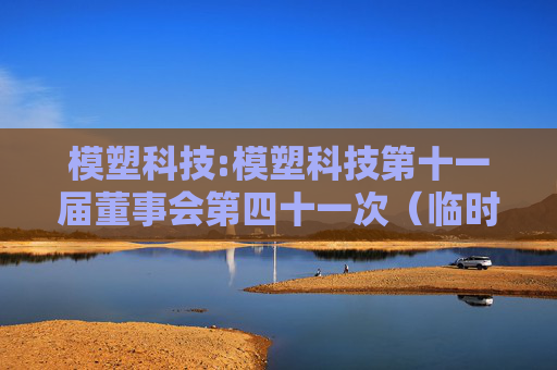 模塑科技:模塑科技第十一届董事会第四十一次（临时）会议决议公告