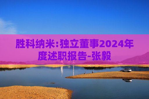 胜科纳米:独立董事2024年度述职报告-张毅