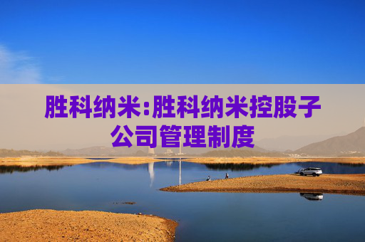 胜科纳米:胜科纳米控股子公司管理制度