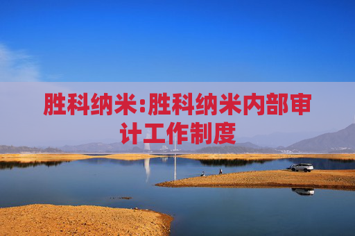 胜科纳米:胜科纳米内部审计工作制度