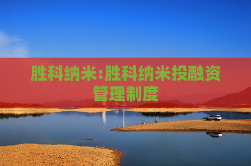 胜科纳米:胜科纳米投融资管理制度
