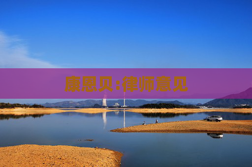 康恩贝:律师意见