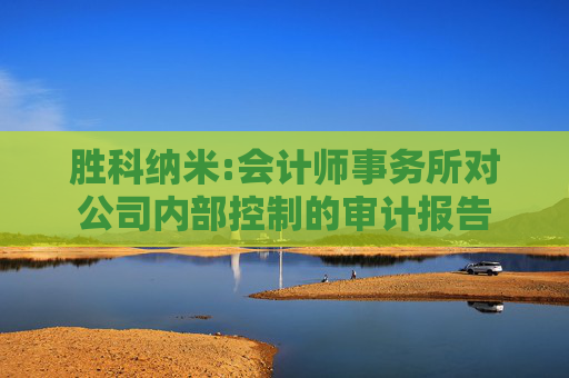 胜科纳米:会计师事务所对公司内部控制的审计报告