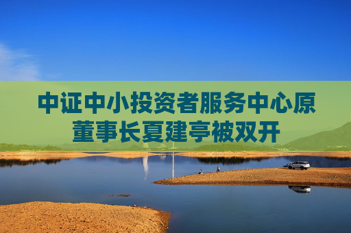 中证中小投资者服务中心原董事长夏建亭被双开