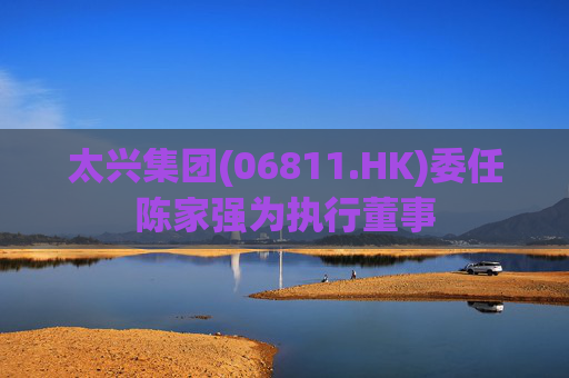 太兴集团(06811.HK)委任陈家强为执行董事