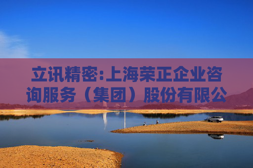 立讯精密:上海荣正企业咨询服务（集团）股份有限公司关于立讯精密工业股份有限公司2025年股票期权激励计划首次授予相关事项之独立财务顾问报告