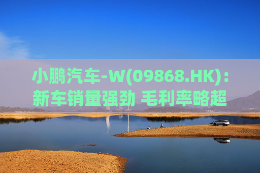 小鹏汽车-W(09868.HK)：新车销量强劲 毛利率略超预期
