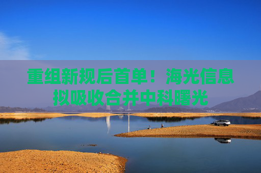 重组新规后首单！海光信息拟吸收合并中科曙光  第1张