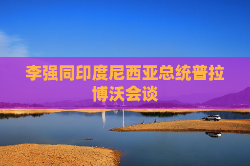 李强同印度尼西亚总统普拉博沃会谈