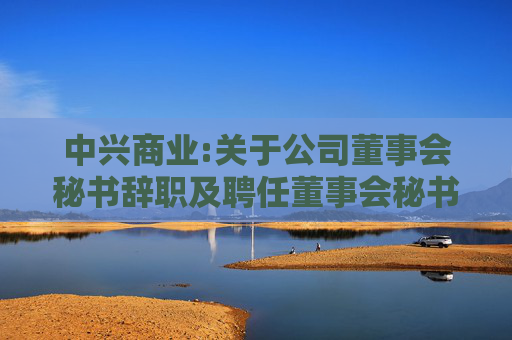 中兴商业:关于公司董事会秘书辞职及聘任董事会秘书的公告