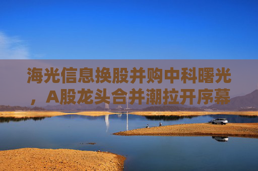 海光信息换股并购中科曙光，A股龙头合并潮拉开序幕  第1张