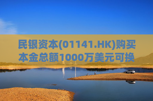 民银资本(01141.HK)购买本金总额1000万美元可换股证券