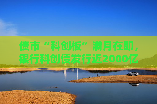 债市“科创板”满月在即，银行科创债发行近2000亿，大行热情高，中小行参与仍有限  第1张