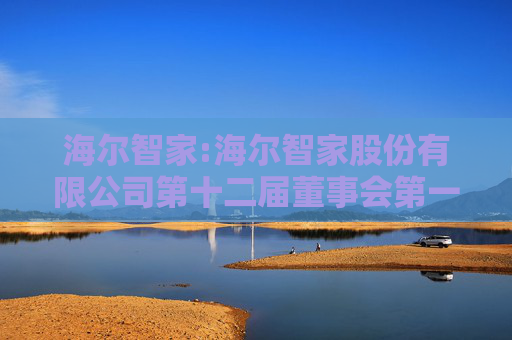 海尔智家:海尔智家股份有限公司第十二届董事会第一次会议决议公告
