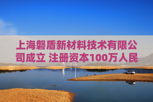 上海磐盾新材料技术有限公司成立 注册资本100万人民币