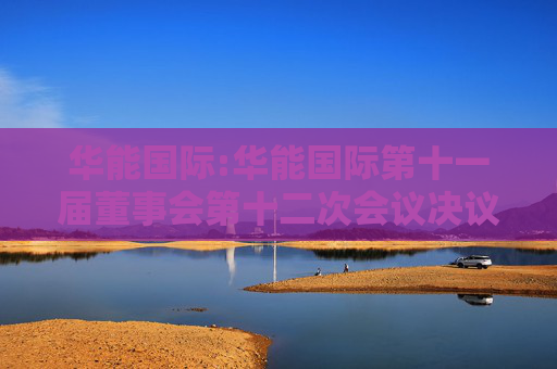华能国际:华能国际第十一届董事会第十二次会议决议公告