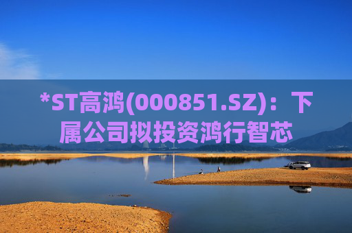 *ST高鸿(000851.SZ)：下属公司拟投资鸿行智芯  第1张