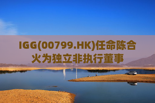 IGG(00799.HK)任命陈合火为独立非执行董事