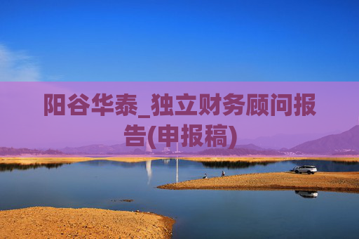 阳谷华泰_独立财务顾问报告(申报稿)