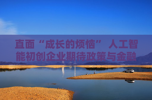 直面“成长的烦恼” 人工智能初创企业期待政策与金融助力破局  第1张