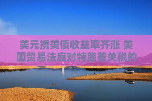 美元携美债收益率齐涨 美国贸易法庭对特朗普关税的裁决提振风险情绪