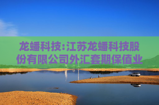 龙蟠科技:江苏龙蟠科技股份有限公司外汇套期保值业务管理制度