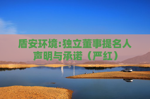 盾安环境:独立董事提名人声明与承诺（严红）