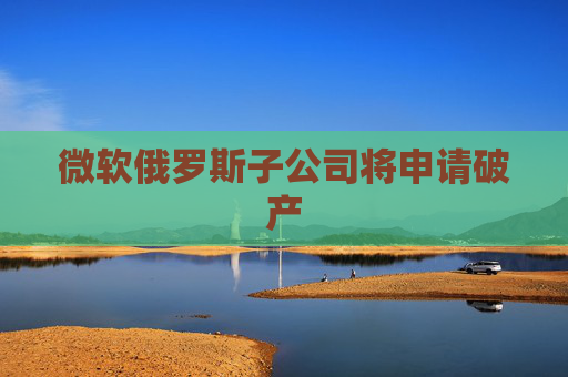 微软俄罗斯子公司将申请破产