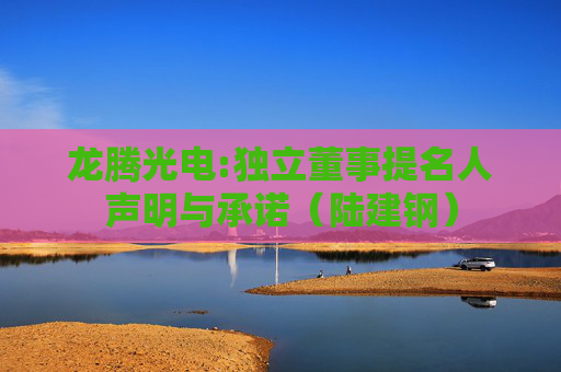 龙腾光电:独立董事提名人声明与承诺（陆建钢）  第1张