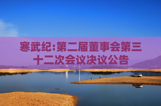 寒武纪:第二届董事会第三十二次会议决议公告  第1张
