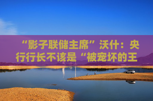 “影子联储主席”沃什：央行行长不该是“被宠坏的王子”，央行成立就是为了给政客找个“替罪羊”
