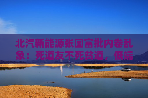 北汽新能源张国富批内卷乱象：死道友不死贫道，低端竞争是一条死胡同