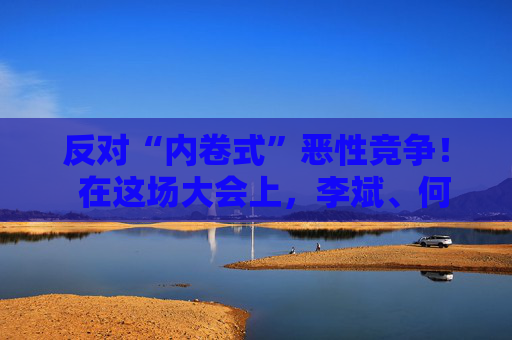 反对“内卷式”恶性竞争！  在这场大会上，李斌、何小鹏、閤先庆等表态“价格战”