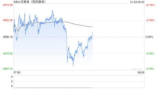 世界黄金协会深度分析：美国最高法院对 IEEPA 关税的审理及其对黄金市场的潜在影响