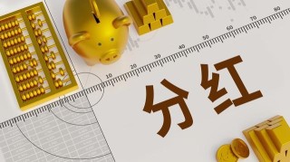 保险申请的审核流程一般是怎样的？