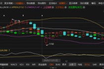 聚石化学虚增1.57亿被罚，律师：这个日期后买入可索赔