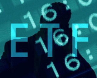 如何证明期权价值的评估合理性？这种合理性如何体现市场价值？